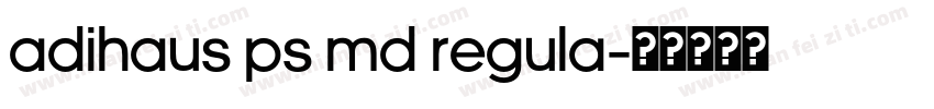 AdiHaus PS Md Regula字体转换